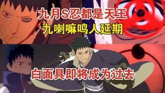 木叶情报会最新爆料重播,最新爆料重播背后的惊人真相  第2张